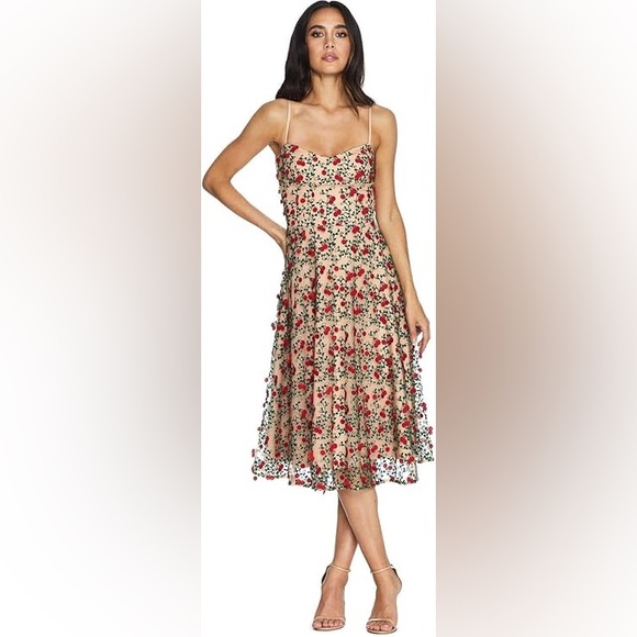 Dress the Population Dresses & Skirts - Dress the Population Cherry Embroidered Dress